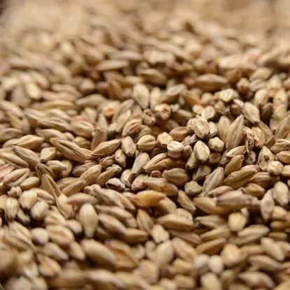Gambrinus Honey Malt per lb