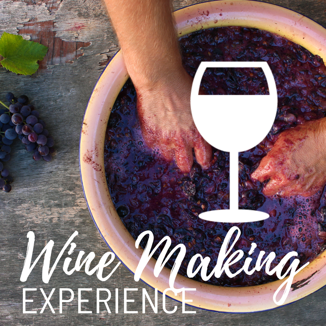 Wine Making Class Experience