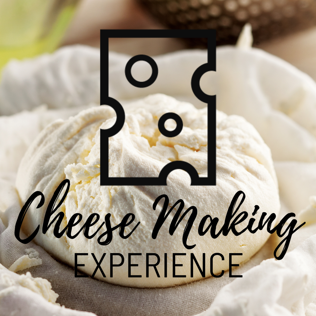 Cheese Class Experience