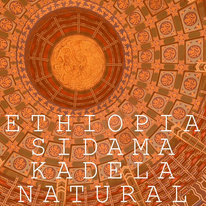 Ethiopia Sidama Kadaya Natural
