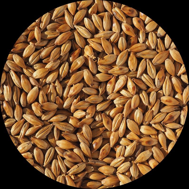 Crisp Caramalt 13-20L Malt per lb