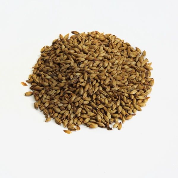 Castle Malting Chateau | Biscuit Malt - per lb