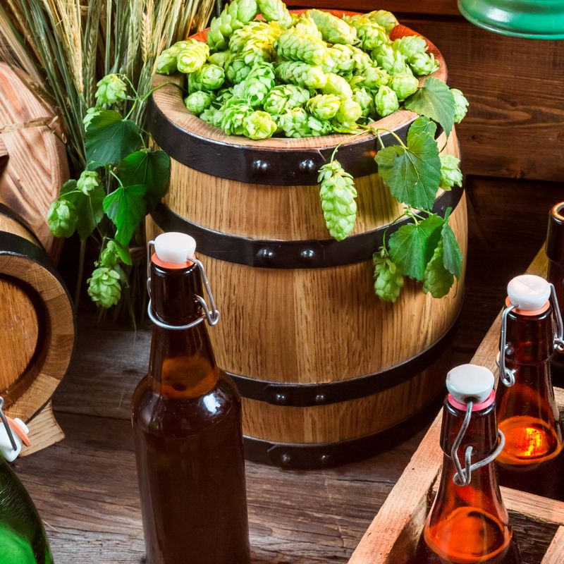 Free Intro to Brewing Demo | July 5th | 10 am - 1 pm