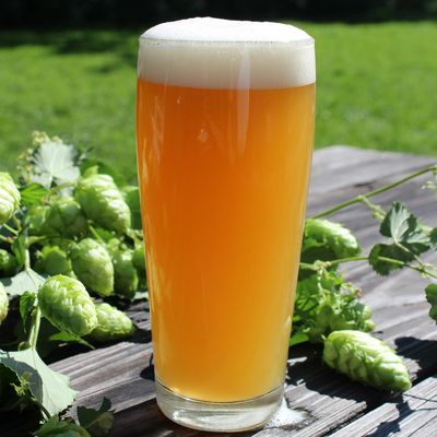 Hoppy Beer