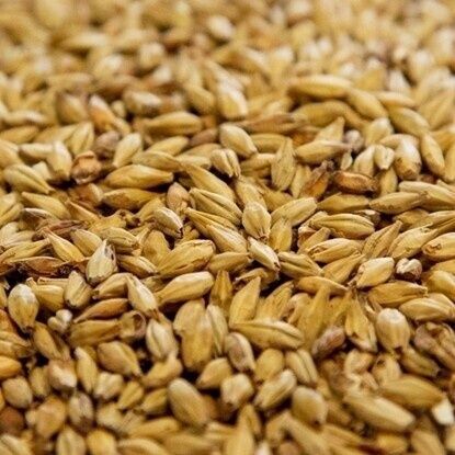Best Malz Acidulated Malt per lb