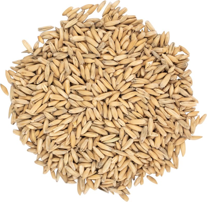Canada Malting Oat Malt | per lb
