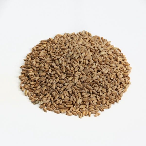 Castle Malting Chateau | Pilsen Malt 2-Row - per lb