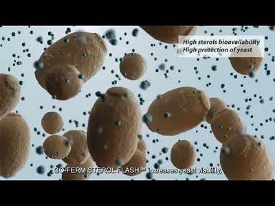 GO-FERM STEROL FLASH™ 2.5KG