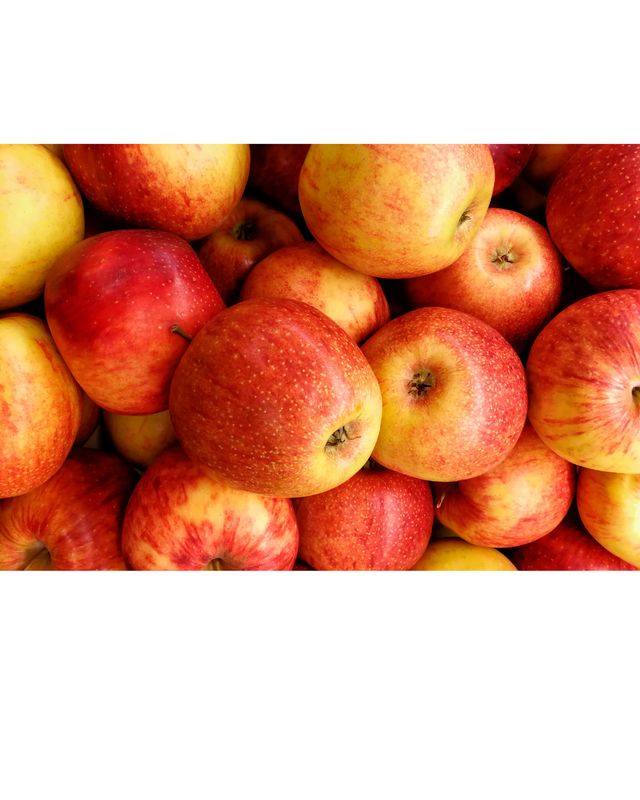 Bushel of Apples