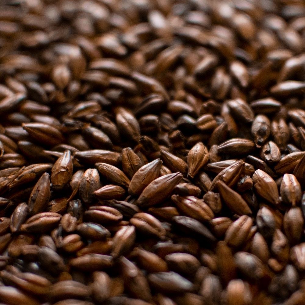 Dingemans Chocolate Malt per lb