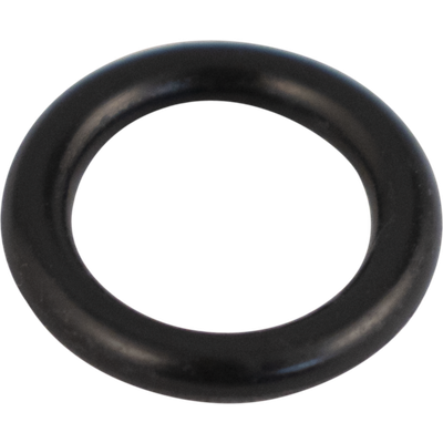 Exterior Ball Lock Post O-Ring