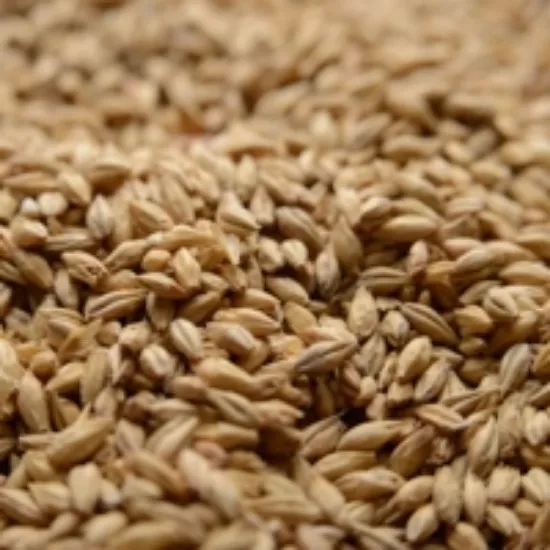 Briess Pale Ale  Malt per lb