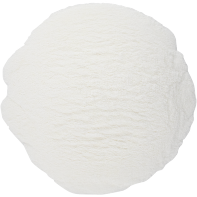 Amylase Enzyme