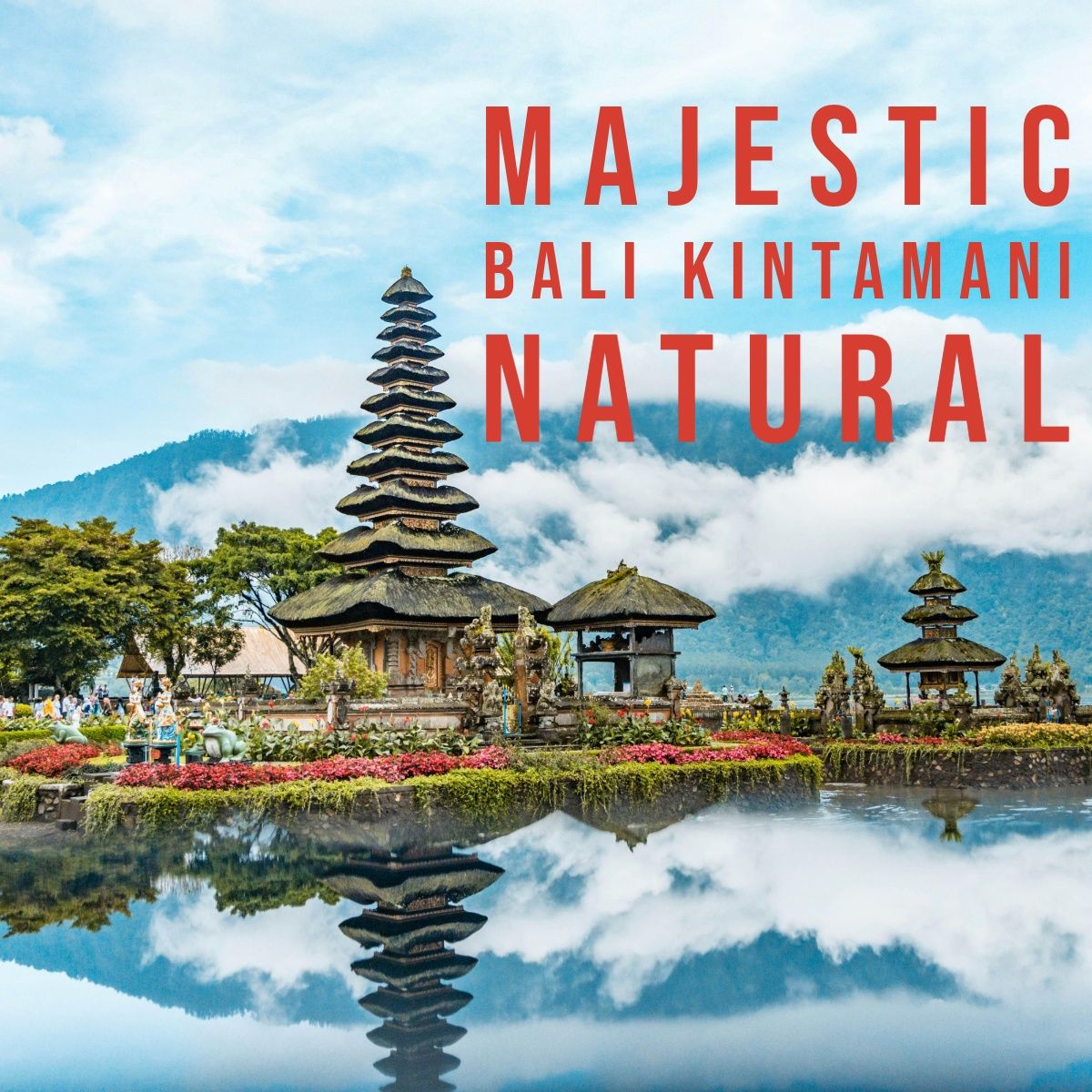 Majestic Bali Kintamani | Coffee Beans | 1lb