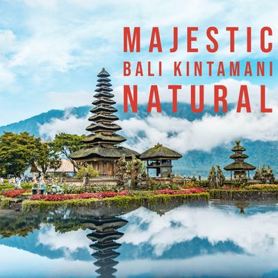 Majestic Bali Kintamani | Coffee Beans | 1lb