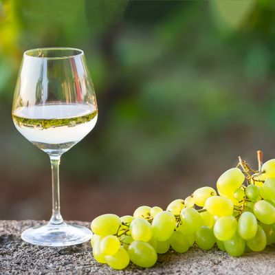Pinot Grigio | Fresh Grapes | 36 lb Box