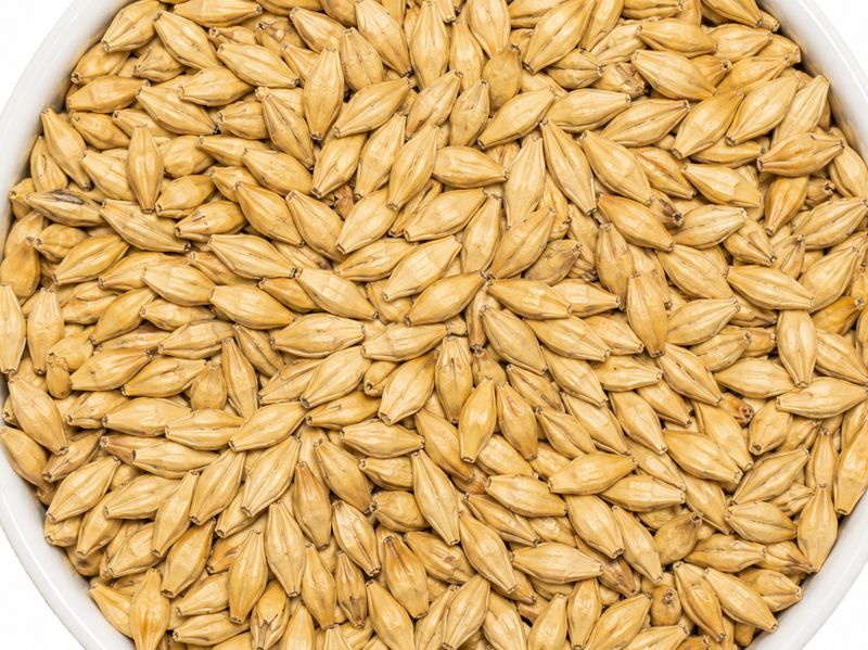 Durstmalz | Pilsen Malt | per lb