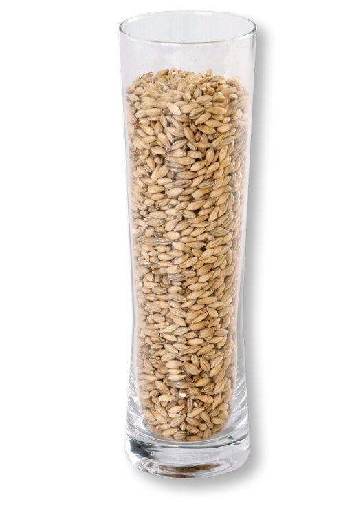 Ireks Spitzmalz | Carapils/Chit | malt per lb