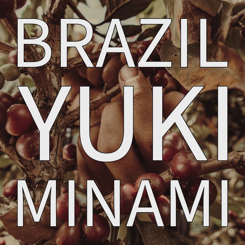Brazil Yuki Minami | Coffee | Brazil