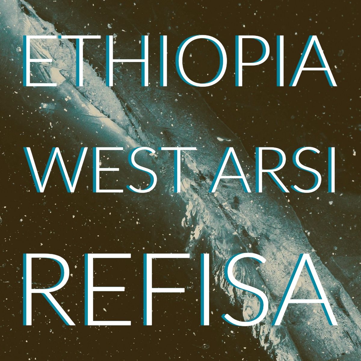 Ethiopia West Arsi Refisa | Coffee | 1 lb