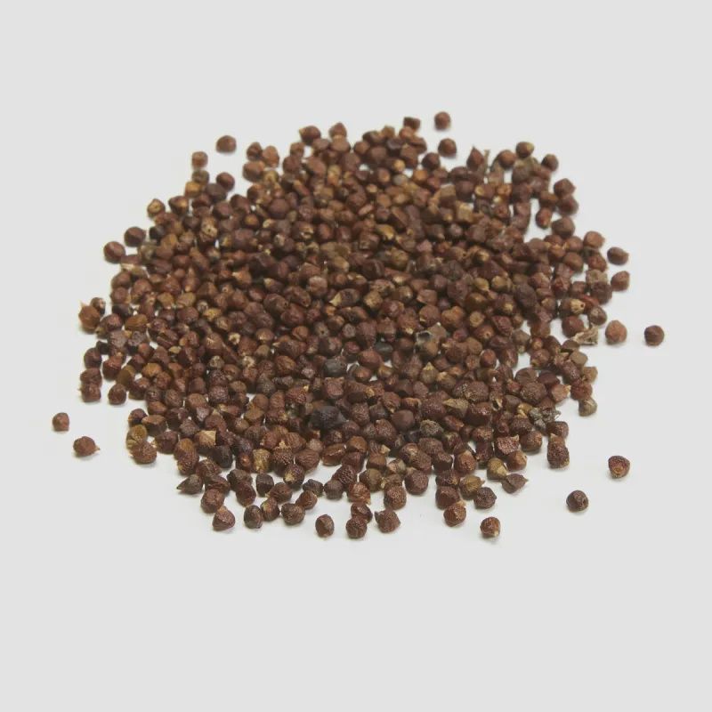 Grains of Paradise 1 oz