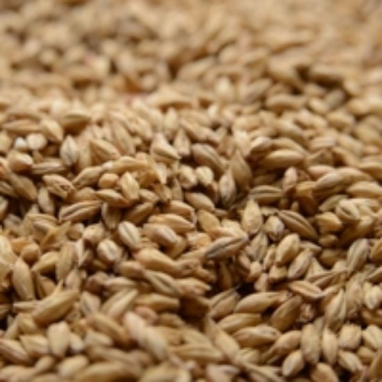 Durstmalz | Vienna Malt | per lb