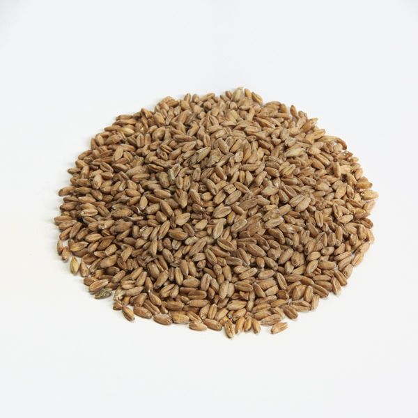 Durstmalz | Munich I | 7.3-8.8 L | Malt | per lb