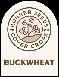 BUCKWHEAT 4LB