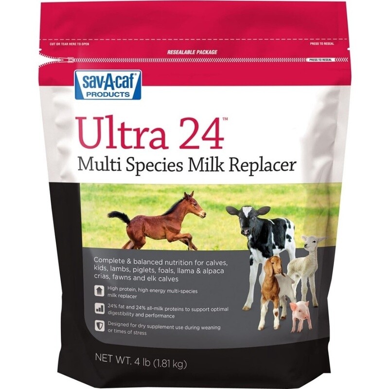 GRADE A ULTRA 24 MILK REPLACER 4LB
