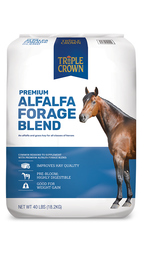 TRIPLE CROWN ALFALFA FORAGE BLEND 40LB