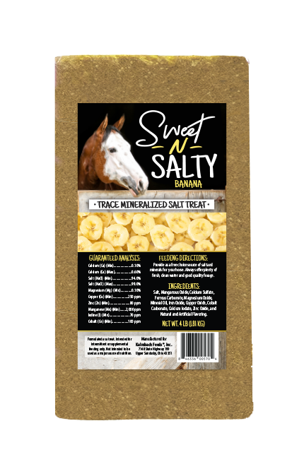 SWEET &amp; SALTY BANANA BRICK 4LB