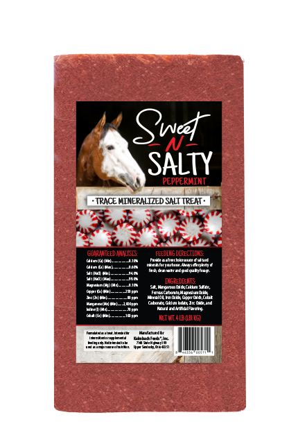 SWEET &amp; SALTY PEPPERMINT BRICK 4LB