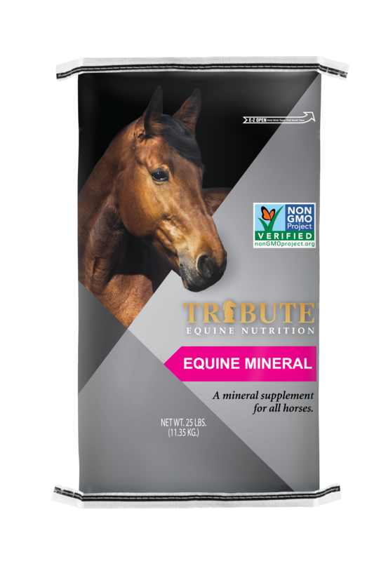 TRIBUTE HORSE MINERAL 12-8 25LB