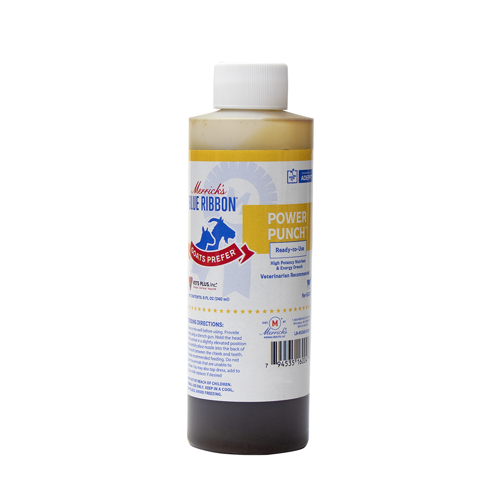 POWER PUNCH GOATS 8OZ