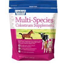 COLOSTRUM SUPPLEMENT LB