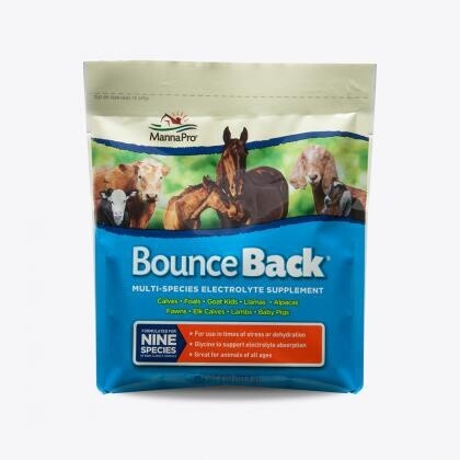 BOUNCE BACK 4LB
