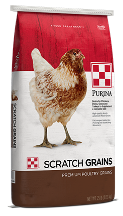 SCRATCH GRAINS 25LB PURINA