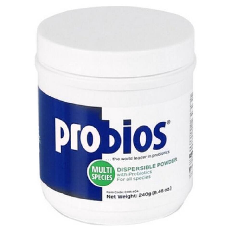 PROBIOS MULTI-SPECIES PROBIOTIC