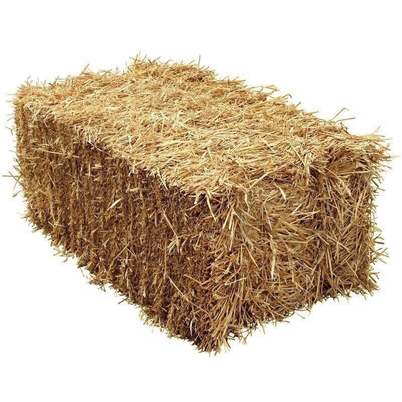 STRAW