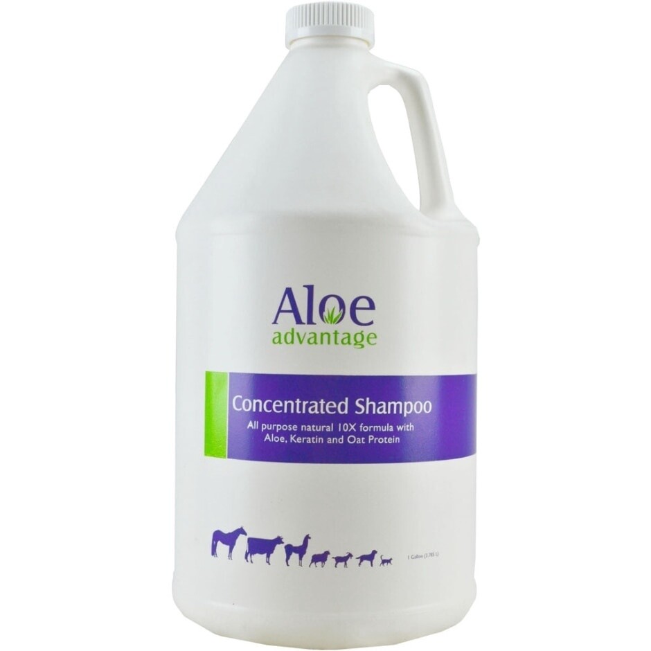 ALOE SHAMPOO GAL