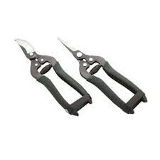 FLORAL &amp; FRUIT SHEAR SET
