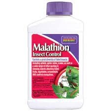 BONIDE MALATHION  8OZ