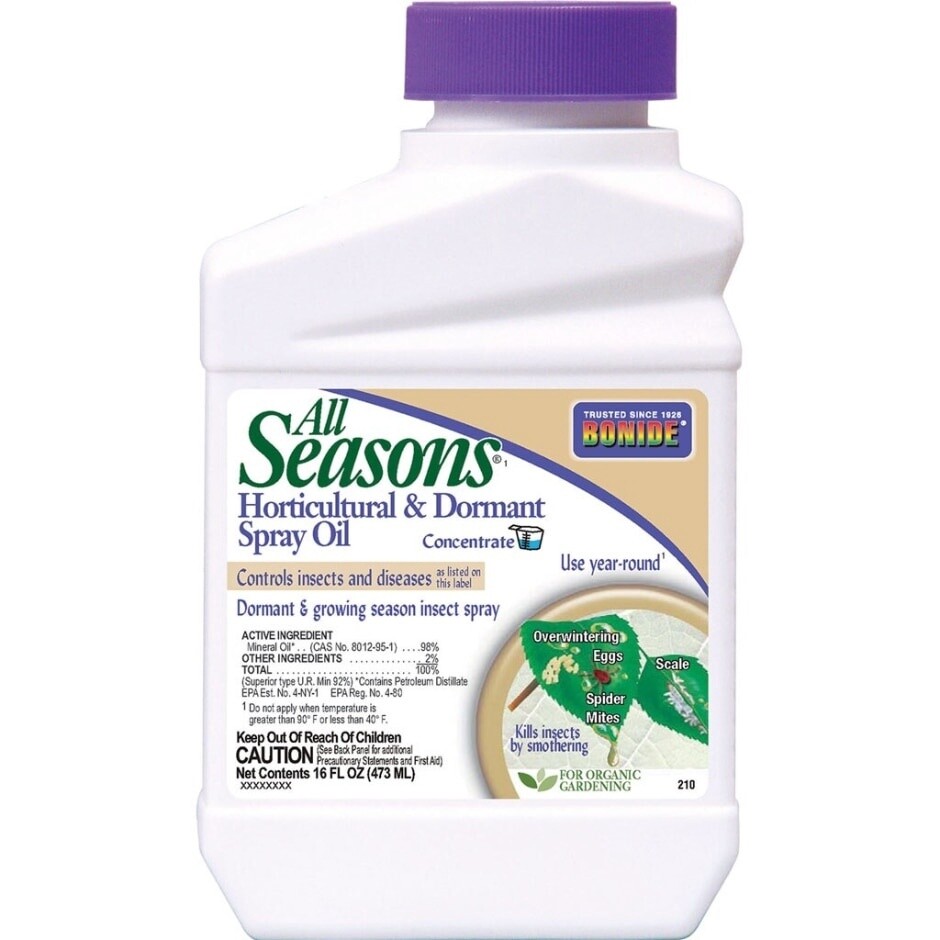 BONIDE SPRAY OIL CONC PT