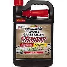 SPECTRACIDE WEED &amp; GRASS KILLER EXTENDED GAL