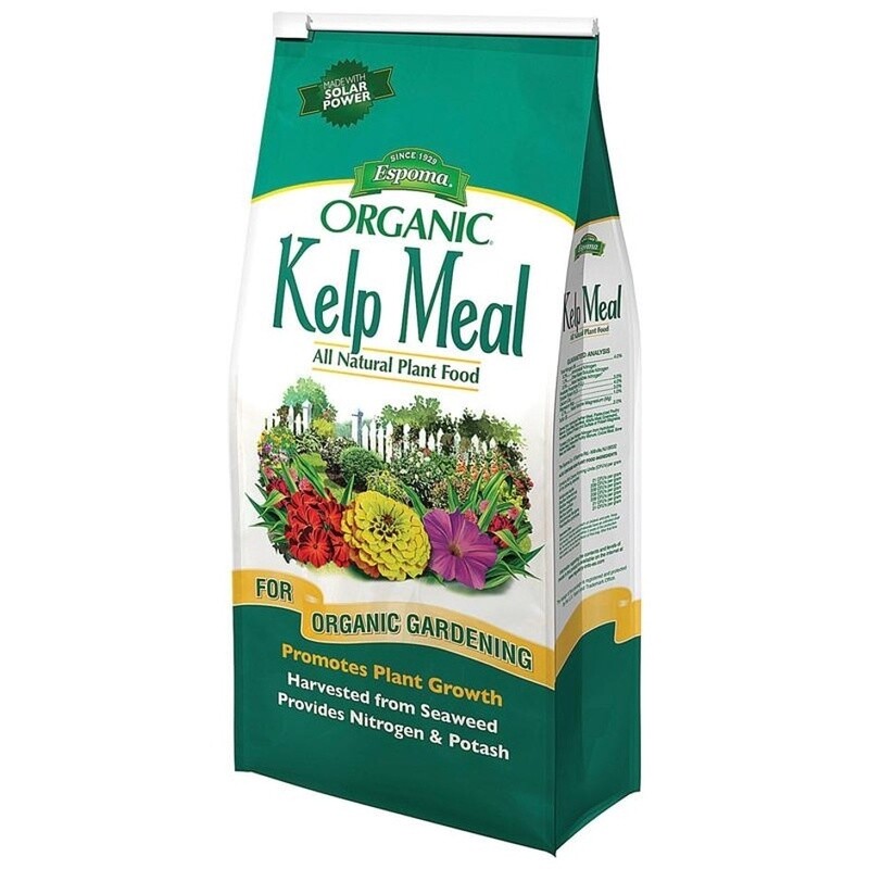 KELP MEAL 4LB