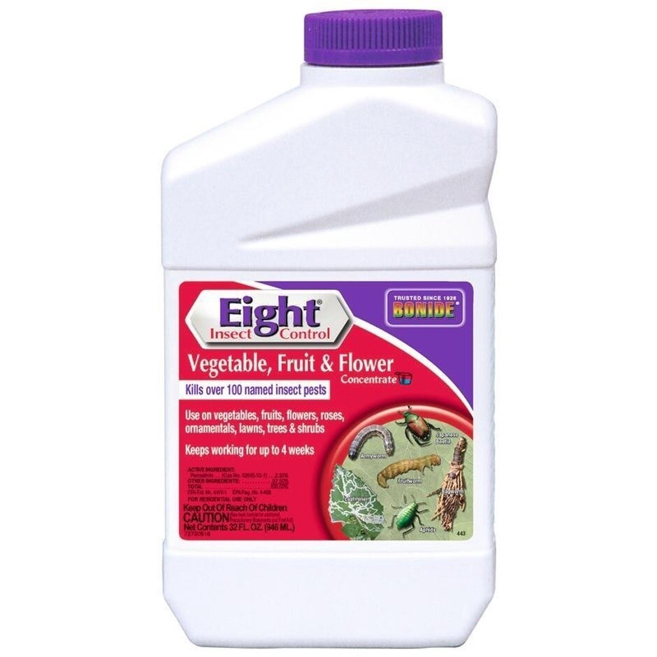 BONIDE EIGHT CONC QT