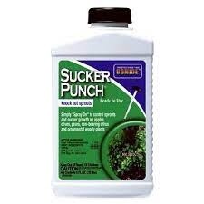 BONIDE SUCKER PUNCH RTU 8OZ