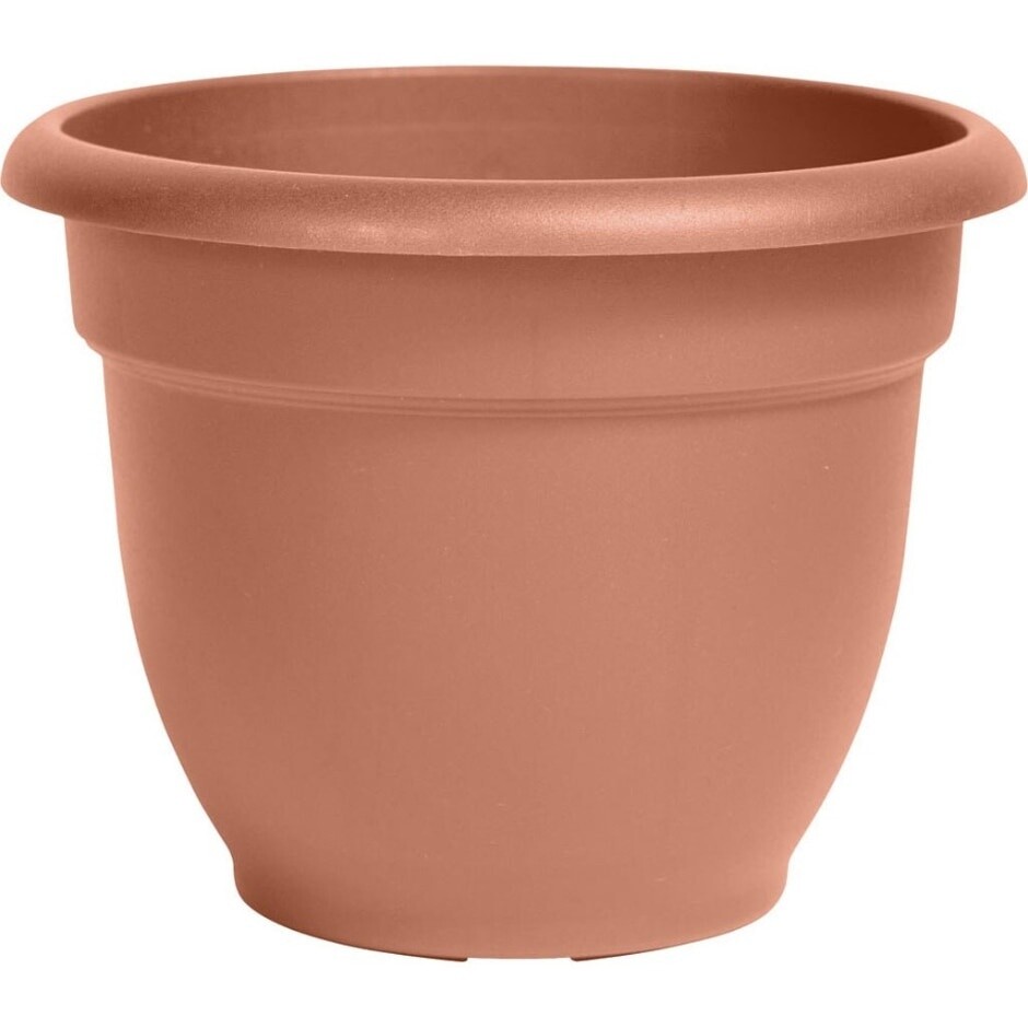 FLOWER POT 8IN TERRA COTTA