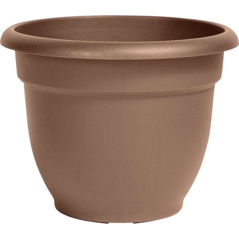 FLOWER POT 8IN CHOCOLATE