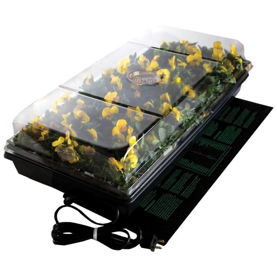 GERMINATION STATION W/HEAT MAT 11X22